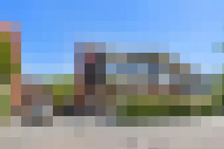 Pijlstaartvlinder 21 Utrecht thumbnail 67