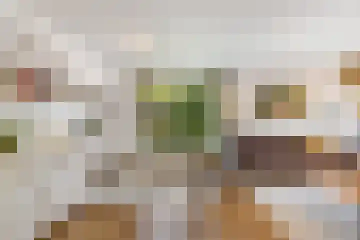 Pijlstaartvlinder 21 Utrecht thumbnail 7