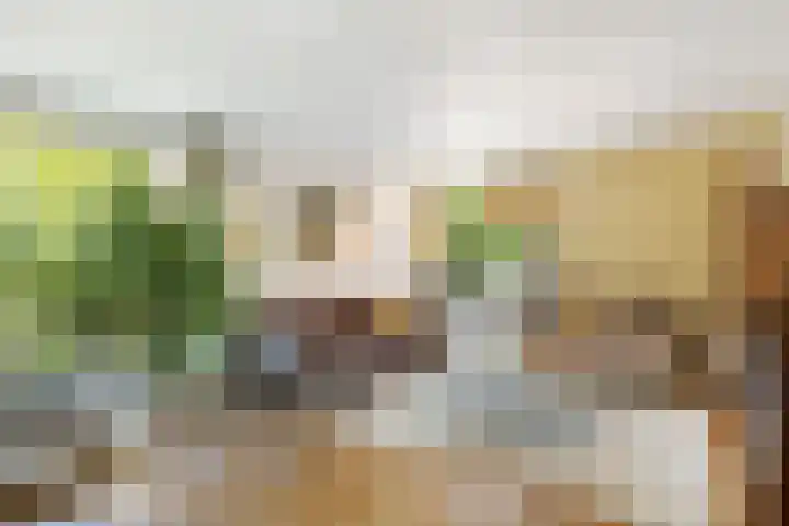 Pijlstaartvlinder 21 Utrecht thumbnail 8