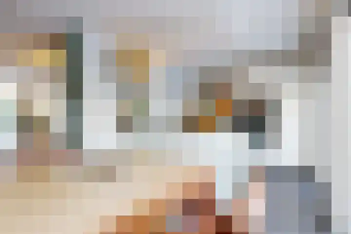 Pijlstaartvlinder 22 Utrecht thumbnail 13