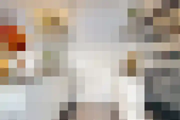 Pijlstaartvlinder 22 Utrecht thumbnail 14