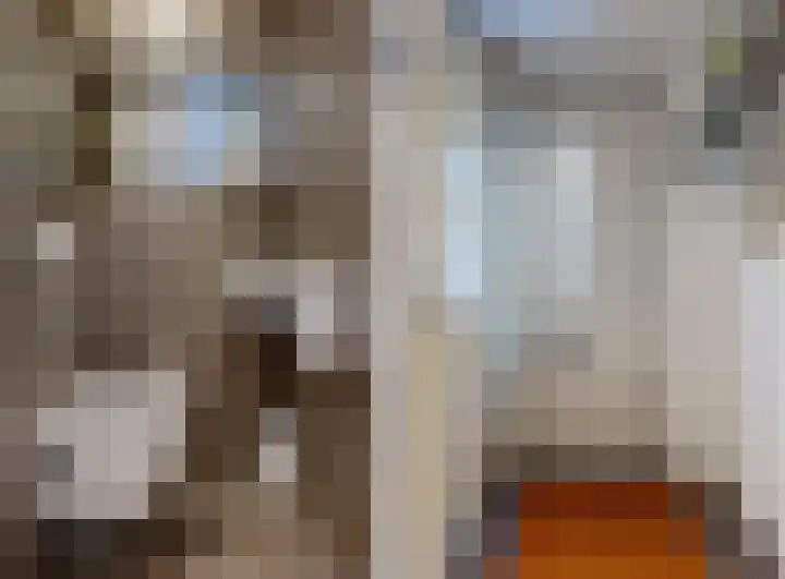 Pijlstaartvlinder 22 Utrecht thumbnail 17