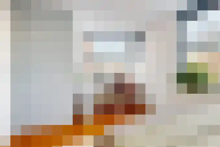 Pijlstaartvlinder 22 Utrecht thumbnail 20