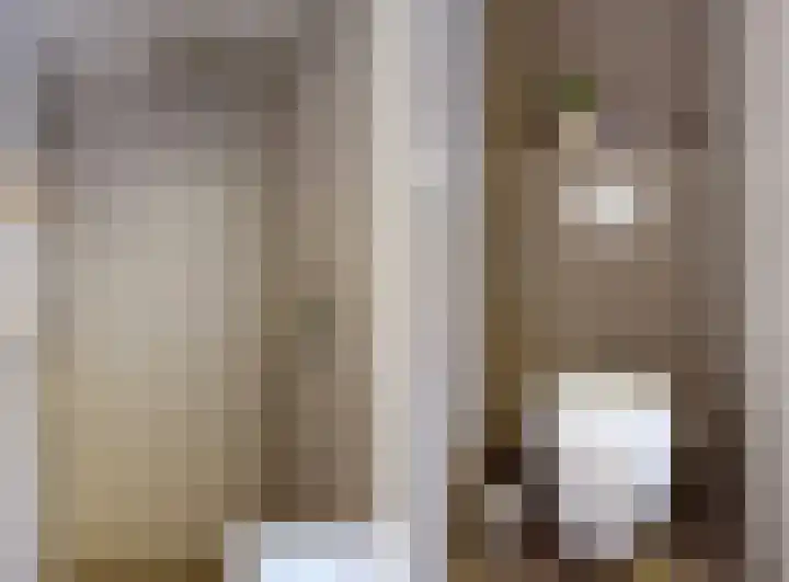 Pijlstaartvlinder 22 Utrecht thumbnail 22
