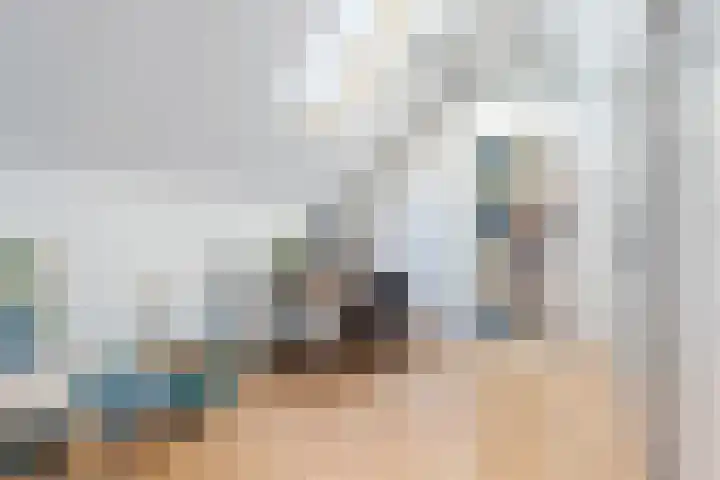 Pijlstaartvlinder 22 Utrecht thumbnail 25