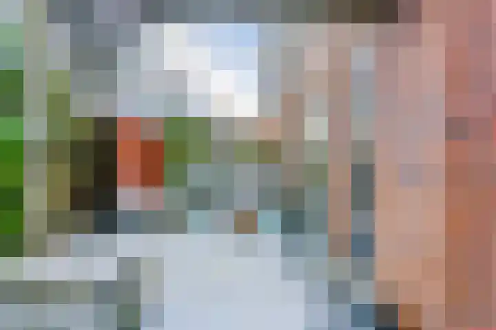 Pijlstaartvlinder 22 Utrecht thumbnail 33