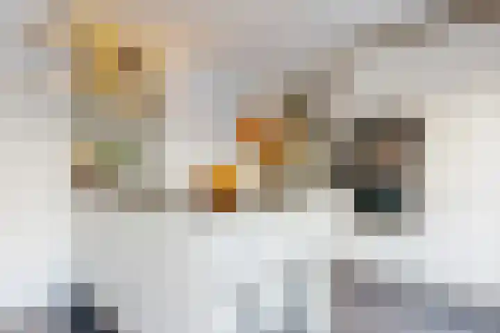 Pijlstaartvlinder 22 Utrecht thumbnail 4