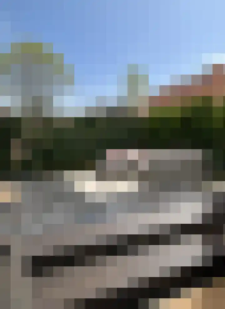 Pijlstaartvlinder 22 Utrecht thumbnail 40