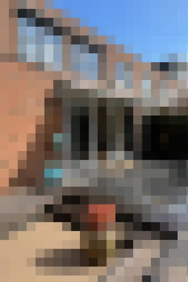 Pijlstaartvlinder 22 Utrecht thumbnail 41
