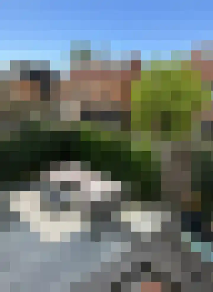 Pijlstaartvlinder 22 Utrecht thumbnail 42