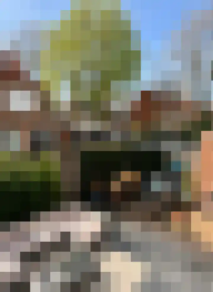 Pijlstaartvlinder 22 Utrecht thumbnail 43