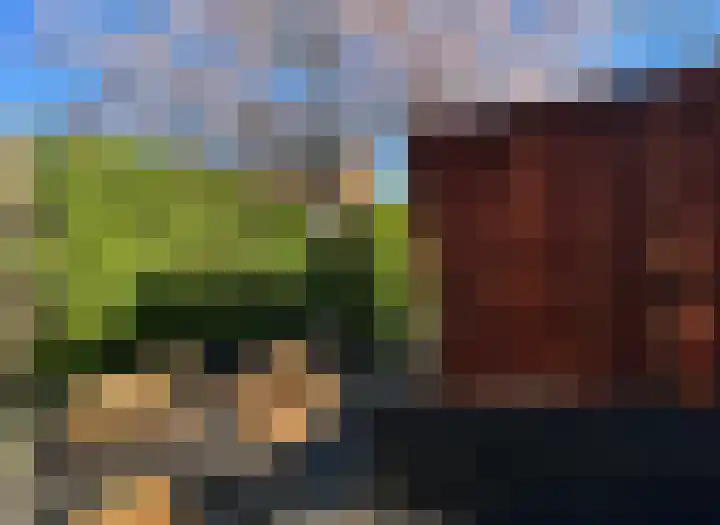Pijlstaartvlinder 22 Utrecht thumbnail 44