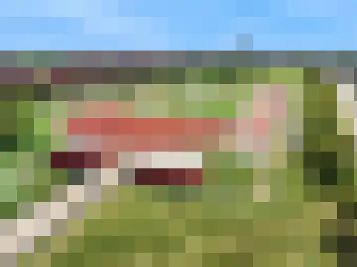 Pijlstaartvlinder 22 Utrecht thumbnail 5