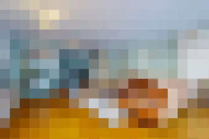 Pijlstaartvlinder 22 Utrecht thumbnail 8