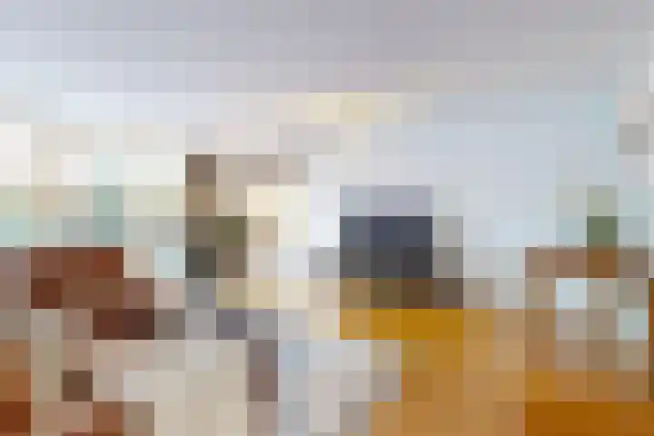 Pijlstaartvlinder 22 Utrecht thumbnail 9