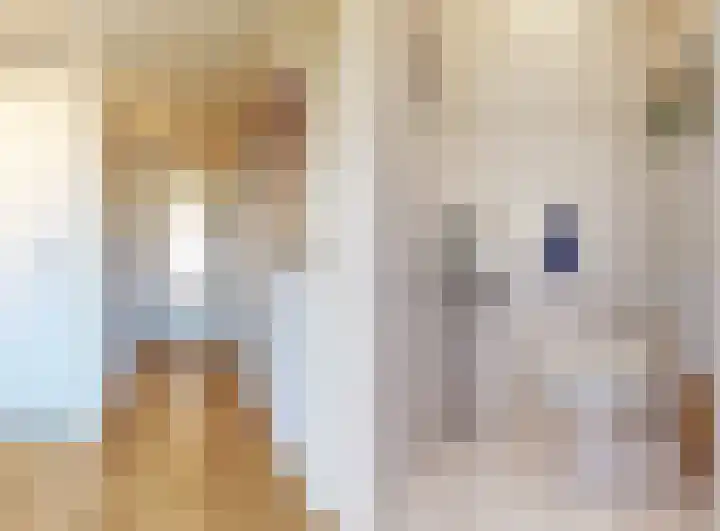 Pijlstaartvlinder 32 Utrecht thumbnail 14