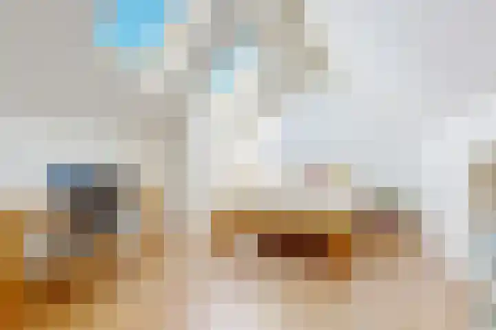 Pijlstaartvlinder 32 Utrecht thumbnail 23