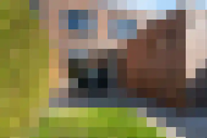 Pijlstaartvlinder 32 Utrecht thumbnail 26