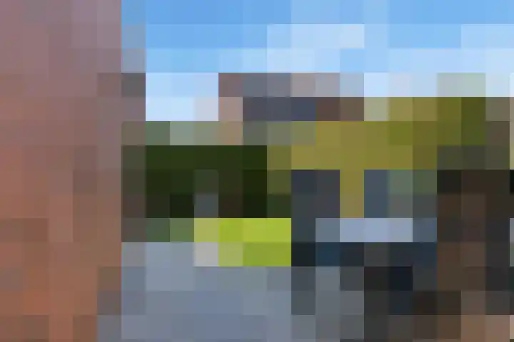 Pijlstaartvlinder 32 Utrecht thumbnail 27