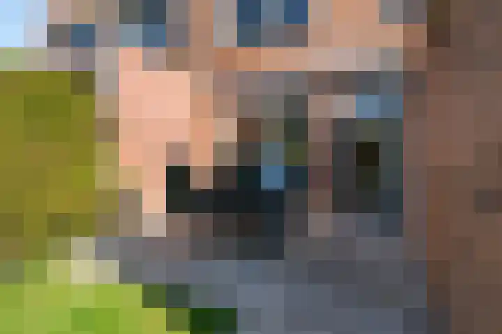 Pijlstaartvlinder 32 Utrecht thumbnail 29