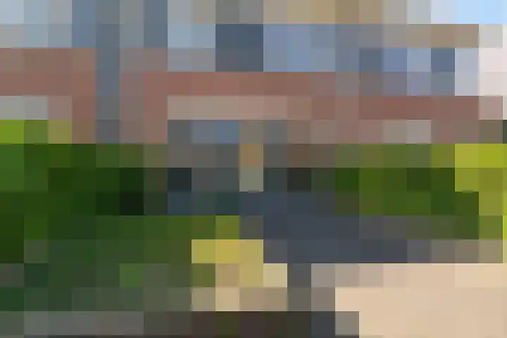 Pijlstaartvlinder 32 Utrecht thumbnail 30