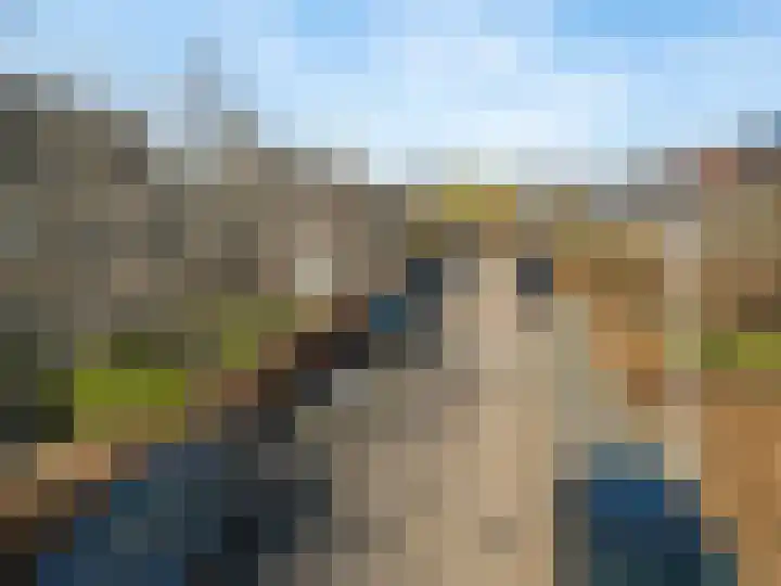 Pijlstaartvlinder 32 Utrecht thumbnail 31