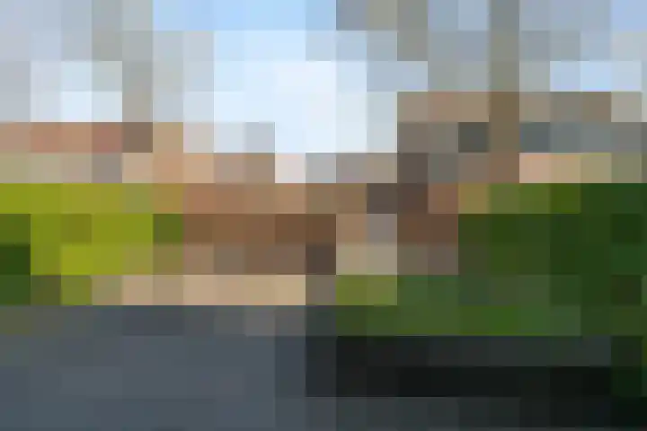 Pijlstaartvlinder 32 Utrecht thumbnail 32