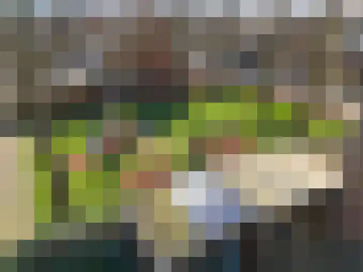 Pijlstaartvlinder 32 Utrecht thumbnail 33