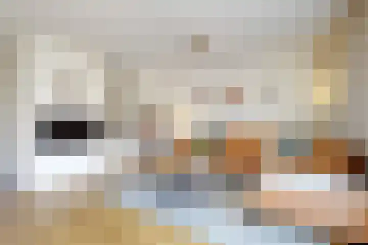 Pijlstaartvlinder 32 Utrecht thumbnail 4