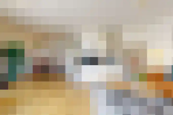 Pijlstaartvlinder 32 Utrecht thumbnail 5