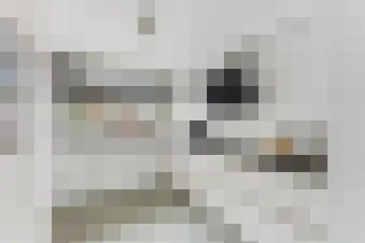Pijlstoep 22 Alblasserdam thumbnail 16