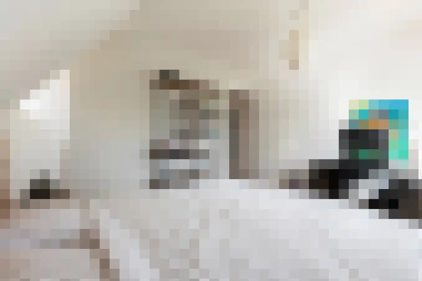 Pijlstraat 10 Rasquert thumbnail 16