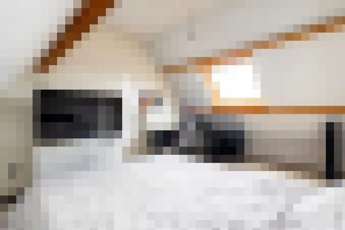 Pijlstraat 10 Rasquert thumbnail 21