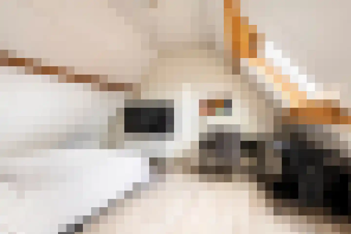 Pijlstraat 10 Rasquert thumbnail 22