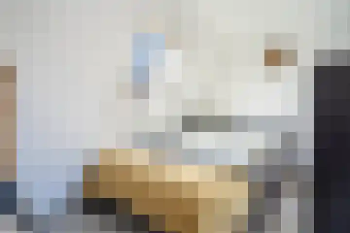 Pijlstraat 14 Utrecht thumbnail 28