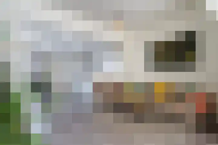 Pijlstraat 14 Utrecht thumbnail 6