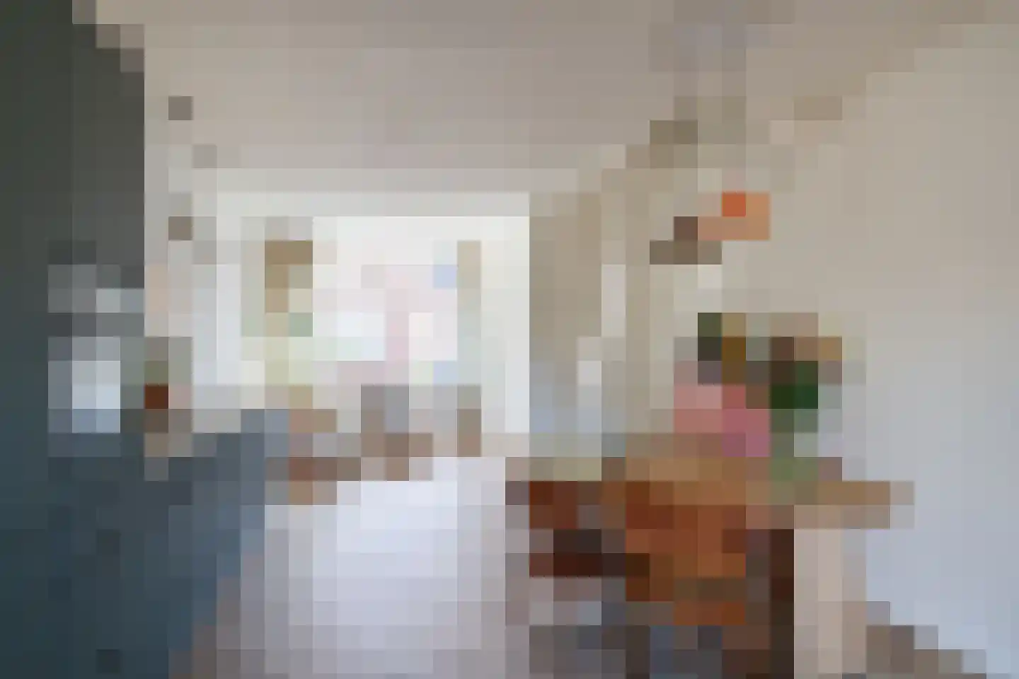 Pijlstraat 18 Utrecht thumbnail 23
