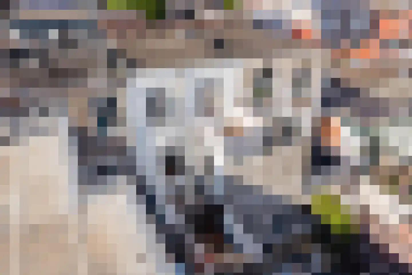 Pijlstraat 3 BS Utrecht thumbnail 47