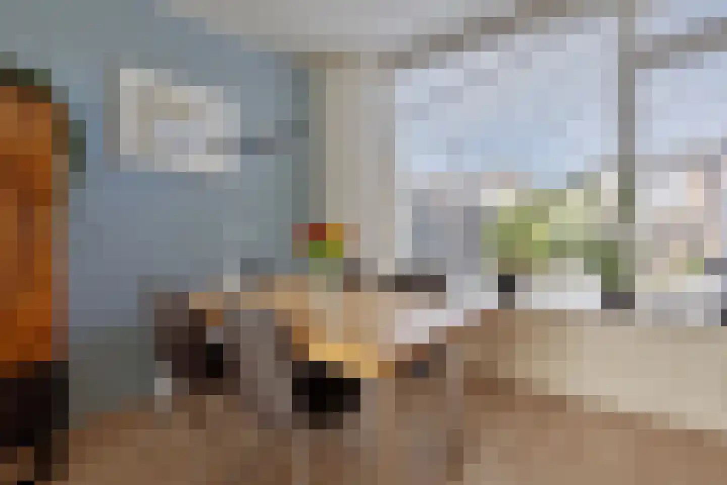 Pijnacker Hordijkstraat 13 Coevorden thumbnail 11