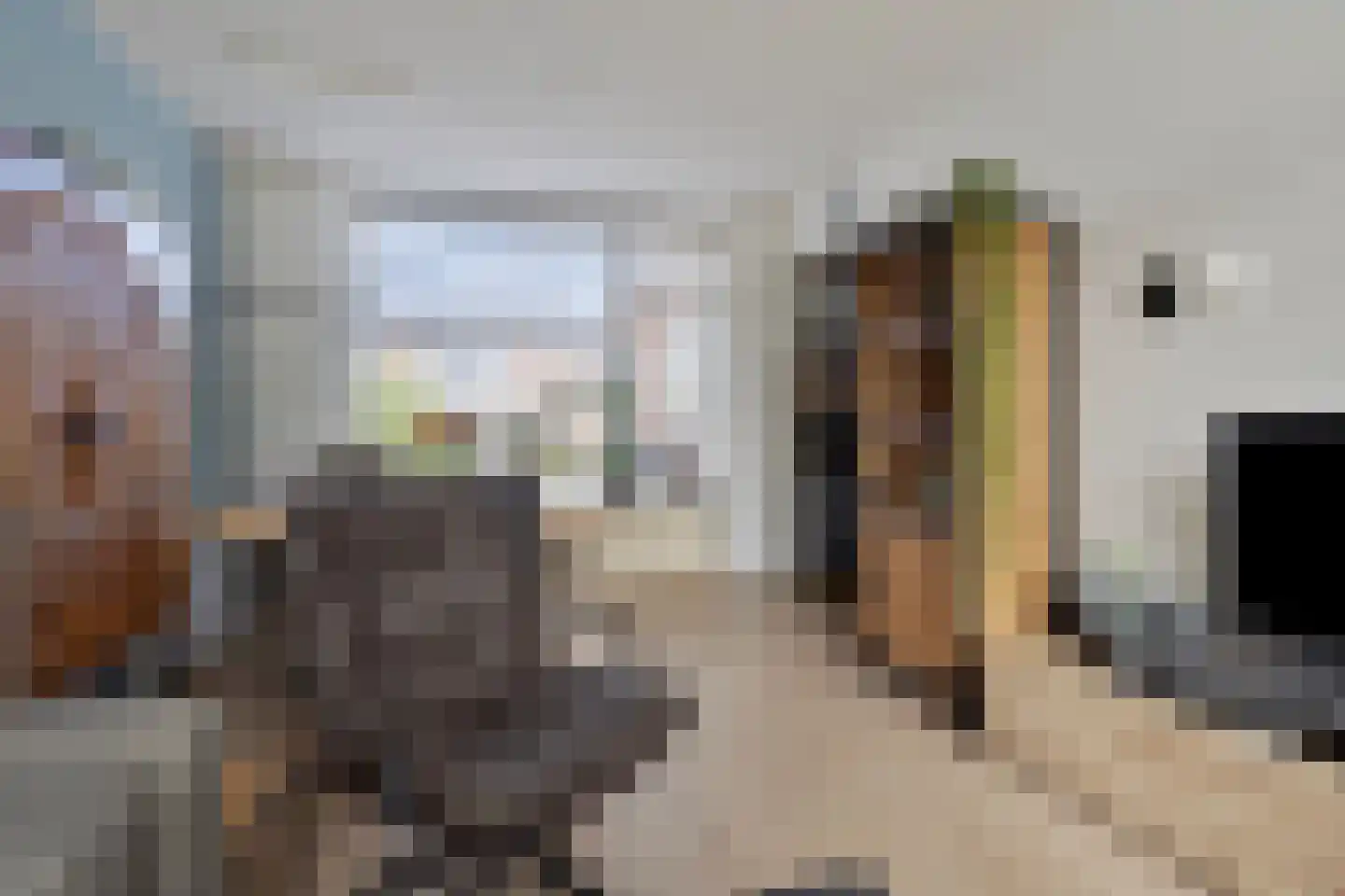 Pijnacker Hordijkstraat 13 Coevorden thumbnail 15