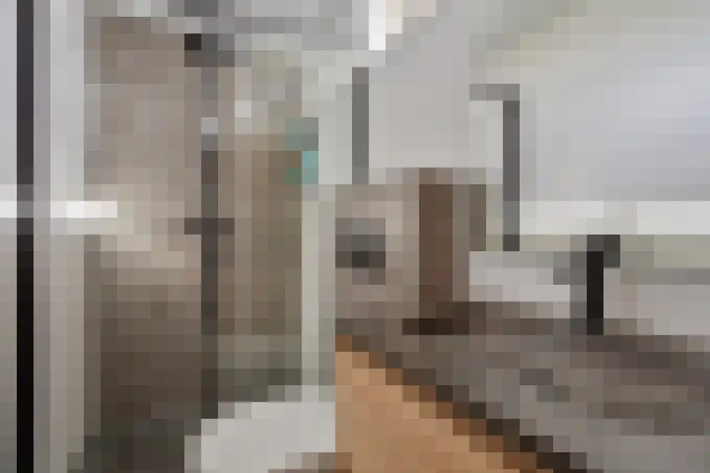Pijnacker Hordijkstraat 13 Coevorden thumbnail 26
