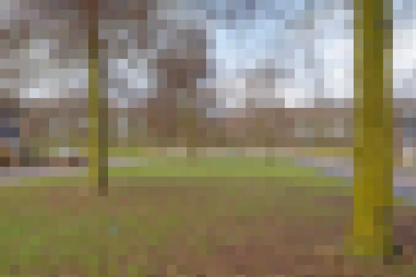 Pijnacker Hordijkstraat 13 Coevorden thumbnail 40
