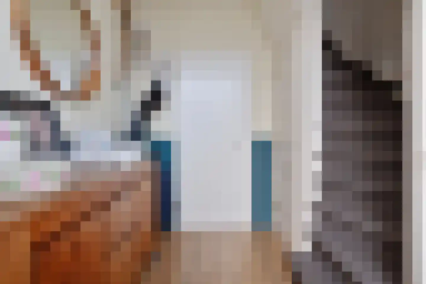 Pijnacker Hordijkstraat 13 Coevorden thumbnail 7