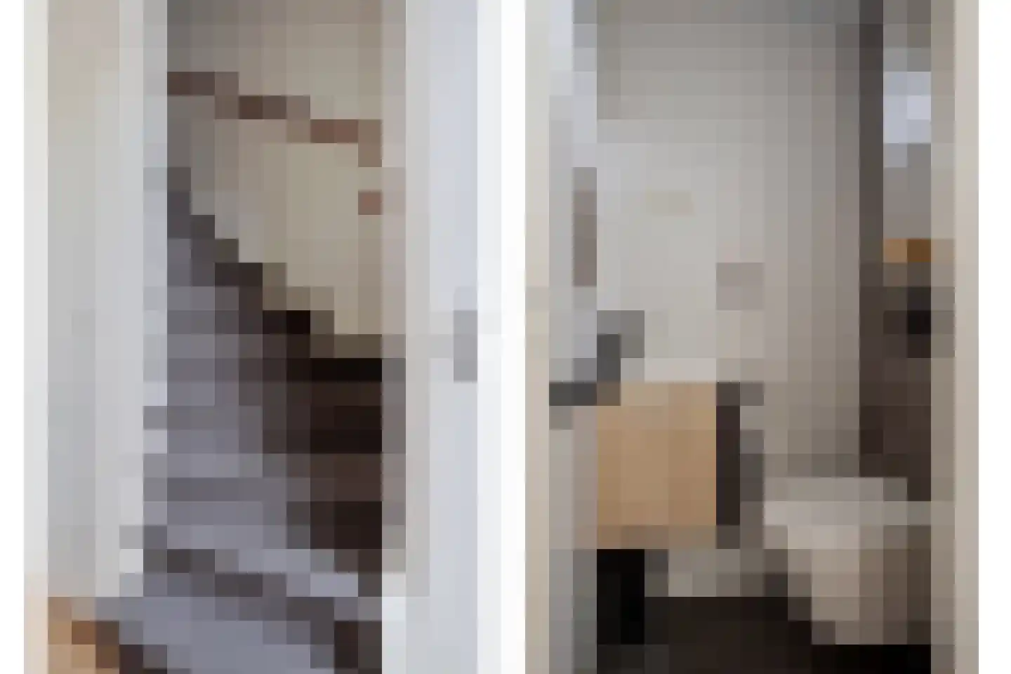 Pijnacker Hordijkstraat 13 Coevorden thumbnail 8