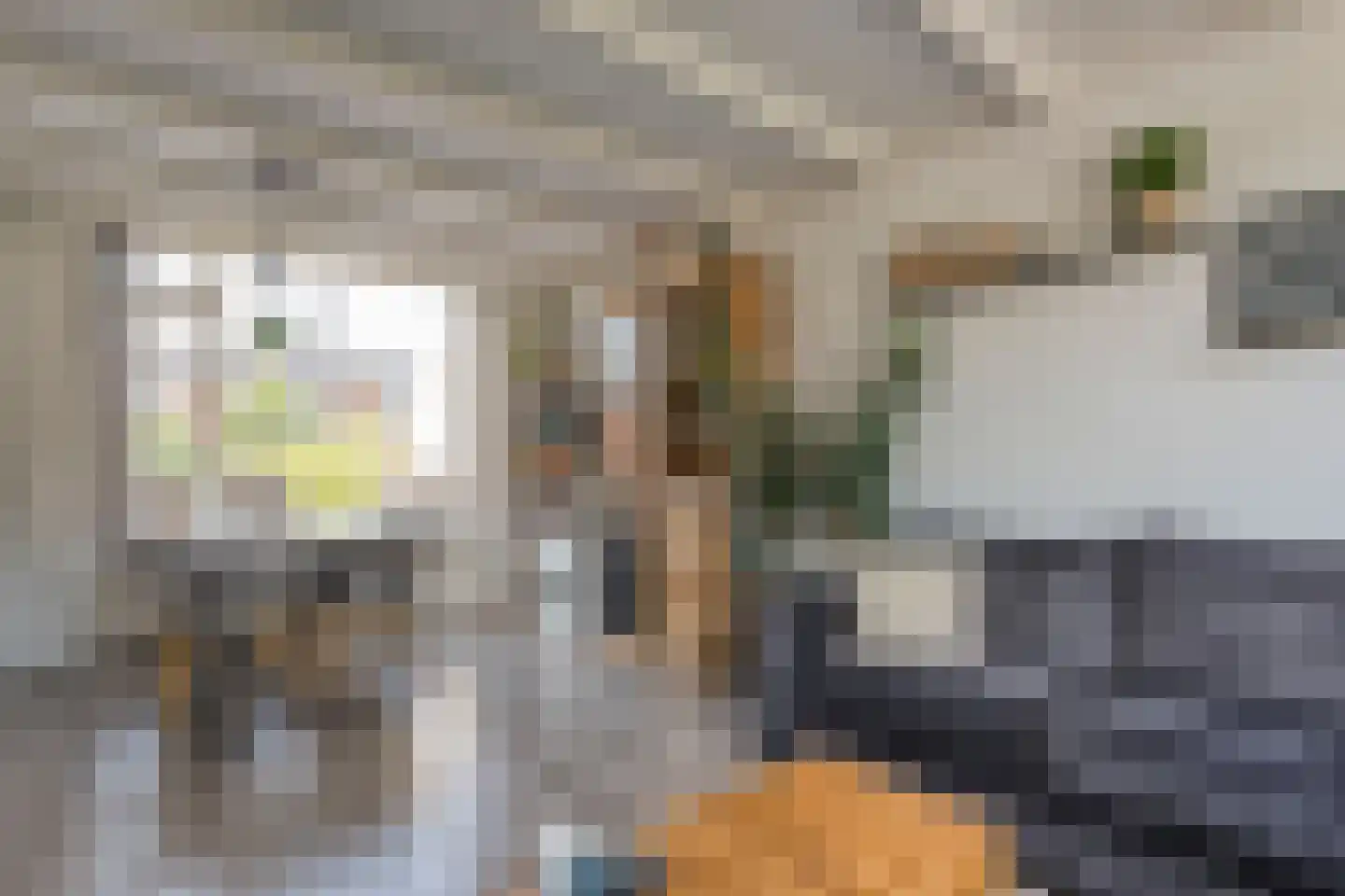Pijnacker Hordijkstraat 15 Coevorden thumbnail 11