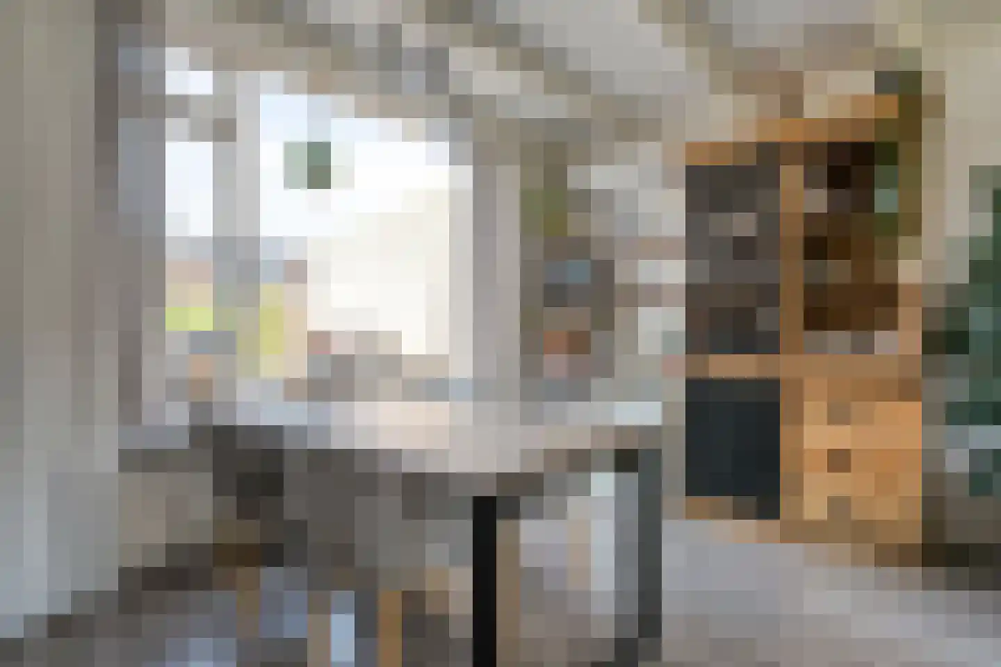 Pijnacker Hordijkstraat 15 Coevorden thumbnail 14