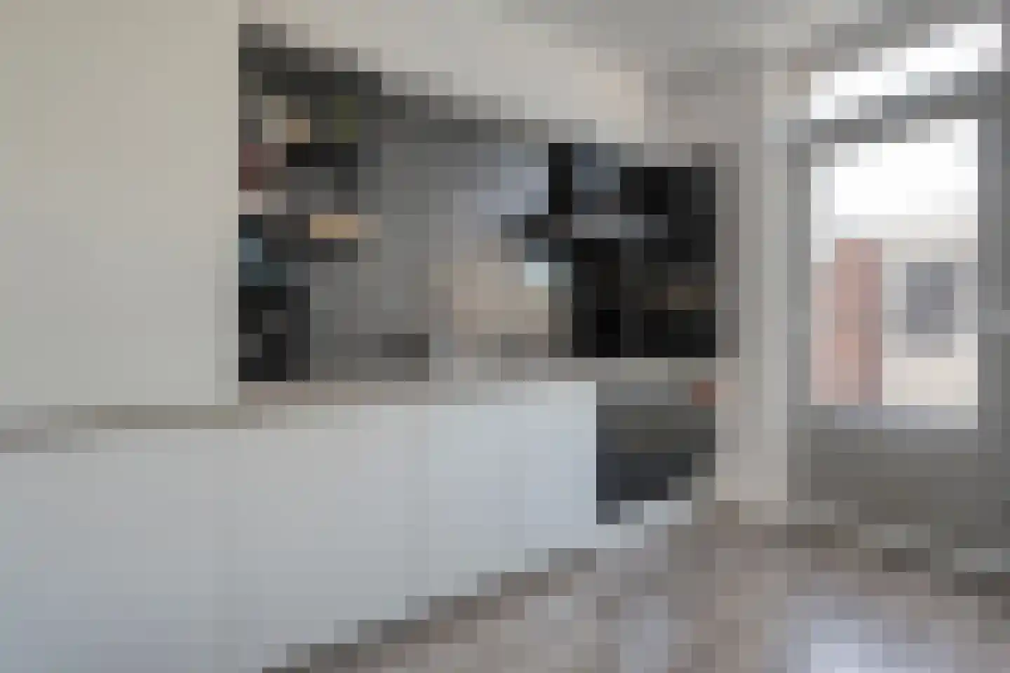 Pijnacker Hordijkstraat 15 Coevorden thumbnail 15