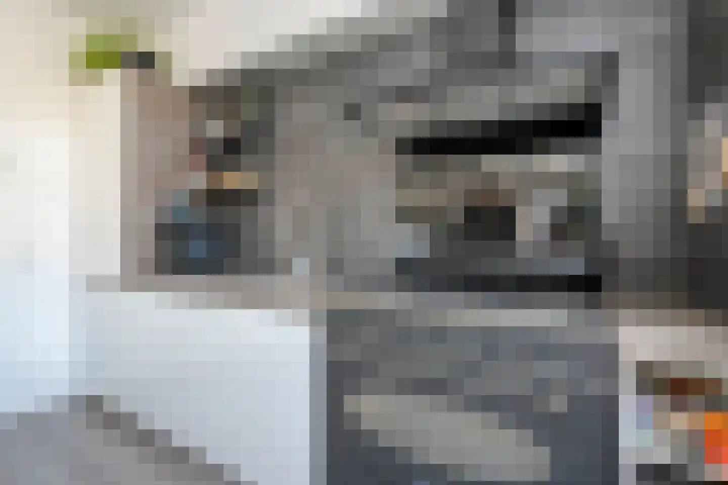 Pijnacker Hordijkstraat 15 Coevorden thumbnail 17