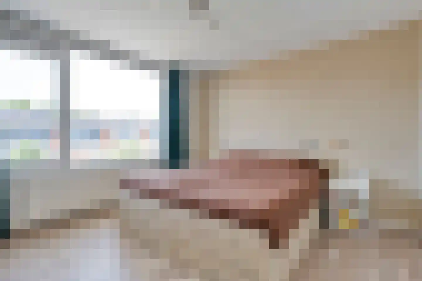 Pijnacker Hordijkstraat 15 Coevorden thumbnail 21