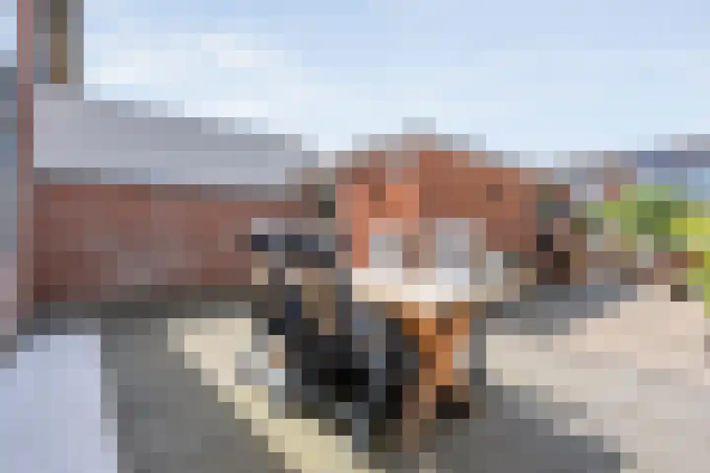 Pijnacker Hordijkstraat 15 Coevorden thumbnail 30